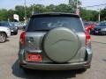 Everglade Metallic - RAV4 4WD Photo No. 6