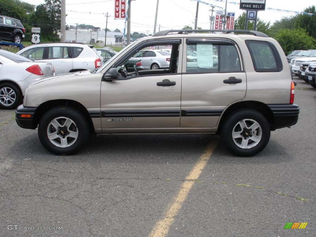 Light Bronzemist Metallic 2002 Chevrolet Tracker 4WD Hard Top Exterior Photo #51383953