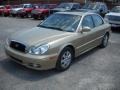 2004 Desert Sand Hyundai Sonata V6  photo #18