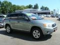Everglade Metallic - RAV4  Photo No. 1