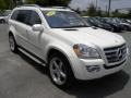 2009 Arctic White Mercedes-Benz GL 550 4Matic  photo #1