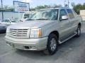 Quicksilver - Escalade EXT AWD Photo No. 8