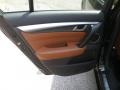 Umber Brown 2010 Acura TL 3.7 SH-AWD Technology Door Panel