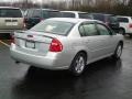 2005 Galaxy Silver Metallic Chevrolet Malibu LS V6 Sedan  photo #12