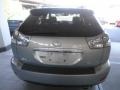 2009 Bamboo Pearl Lexus RX 350 AWD  photo #5