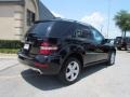 Obsidian Black Metallic - ML 350 4Matic Photo No. 6