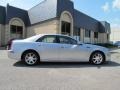 2009 Radiant Silver Cadillac STS V8  photo #7