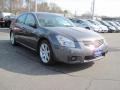 Dark Slate Metallic - Maxima 3.5 SE Photo No. 4