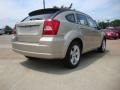 Light Sandstone Metallic - Caliber SXT Photo No. 3