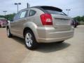 Light Sandstone Metallic - Caliber SXT Photo No. 5