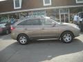 Driftwood Metallic - Veracruz GLS AWD Photo No. 2