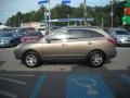Driftwood Metallic - Veracruz GLS AWD Photo No. 6