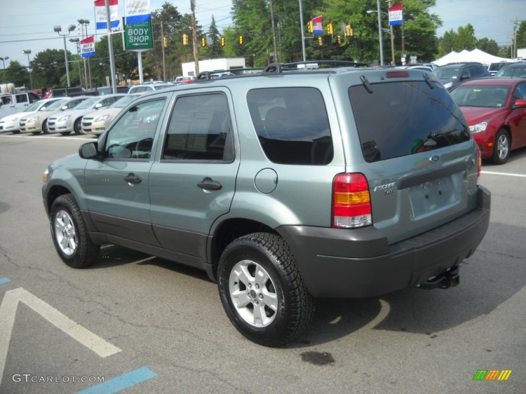 2006 Escape XLT V6 - Titanium Green Metallic / Medium/Dark Flint photo #5