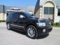 Liquid Onyx Black - QX 56 Photo No. 1
