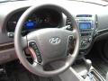 Gray Steering Wheel Photo for 2011 Hyundai Santa Fe #51431061