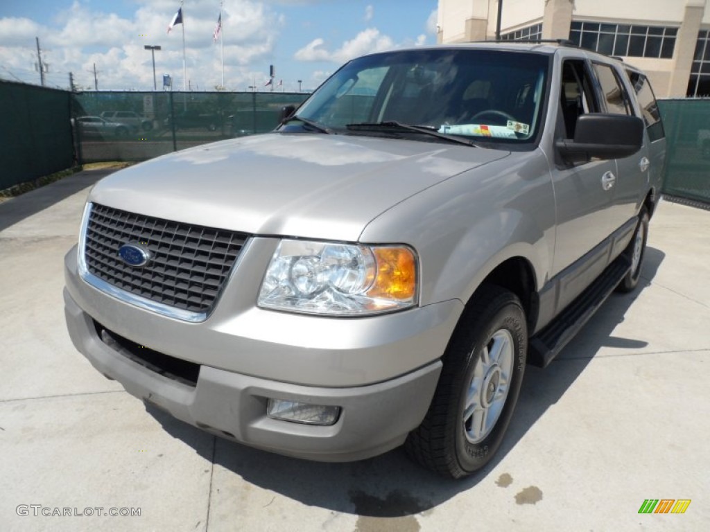 Silver Birch Metallic 2003 Ford Expedition XLT Exterior Photo #51431982