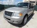 Silver Birch Metallic 2003 Ford Expedition XLT Exterior