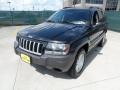 2004 Brillant Black Crystal Pearl Jeep Grand Cherokee Laredo  photo #7