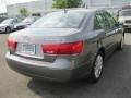 Willow Gray - Sonata GLS Photo No. 2