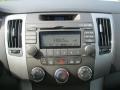 Willow Gray - Sonata GLS Photo No. 5