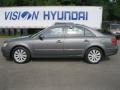 Willow Gray - Sonata GLS Photo No. 10