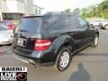 Black - ML 350 4Matic Photo No. 6