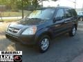 2004 Eternal Blue Pearl Honda CR-V EX 4WD  photo #3