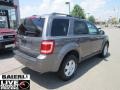 2009 Sterling Grey Metallic Ford Escape XLT V6 4WD  photo #3