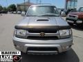 Thunder Cloud Metallic - 4Runner SR5 4x4 Photo No. 8