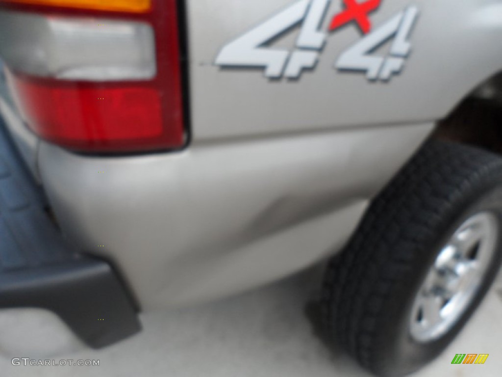 2000 Silverado 1500 Regular Cab 4x4 - Light Pewter Metallic / Graphite photo #20