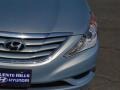 Radiant Silver - Sonata GLS Photo No. 4