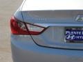 Radiant Silver - Sonata GLS Photo No. 16