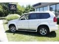 Titanium Silver Metallic - GX 470 Photo No. 10