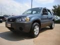 2006 Norsea Blue Metallic Ford Escape XLS 4WD  photo #7