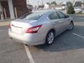 Radiant Silver Metallic - Maxima 3.5 SV Photo No. 3