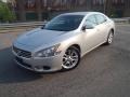 Radiant Silver Metallic - Maxima 3.5 SV Photo No. 15