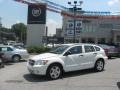 Stone White - Caliber SXT Photo No. 43