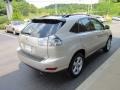 Savannah Metallic - RX 330 AWD Photo No. 5