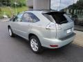 Bamboo Pearl - RX 350 AWD Photo No. 3