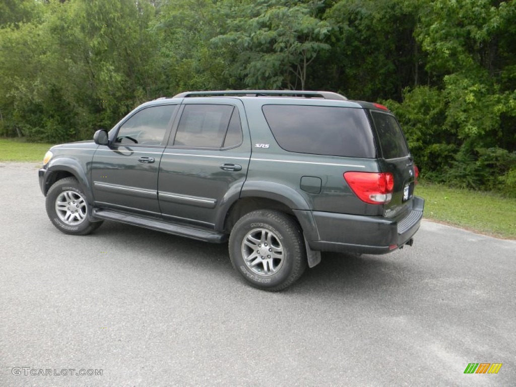 2007 Sequoia SR5 - Timberland Mica / Taupe photo #9