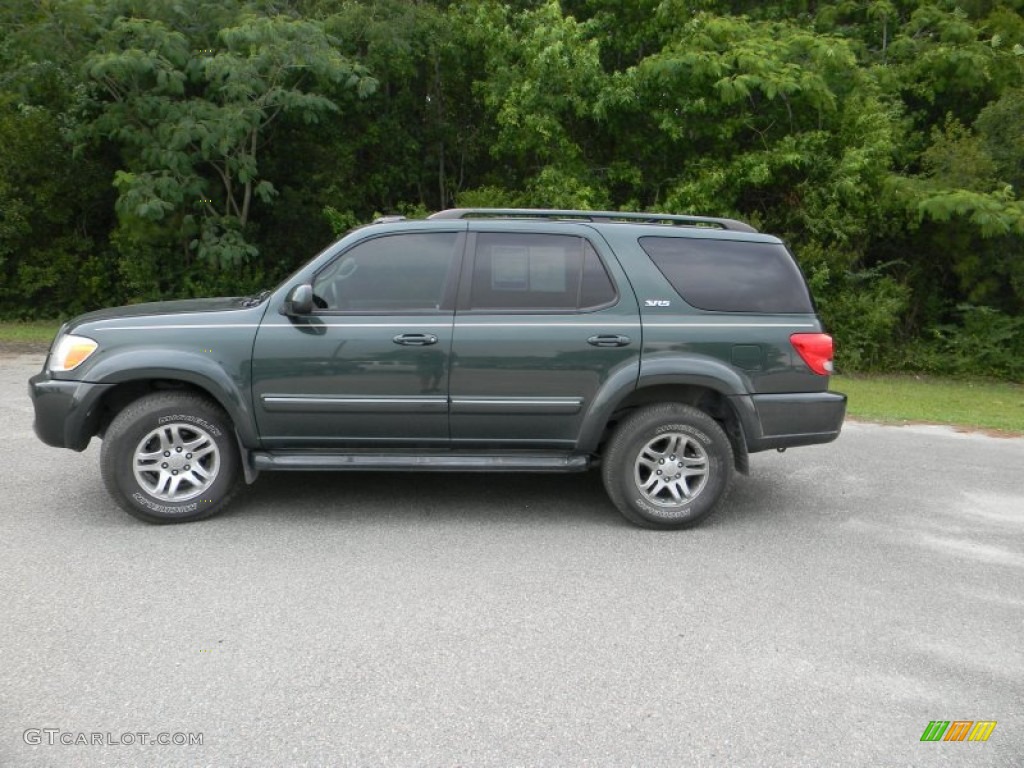 2007 Sequoia SR5 - Timberland Mica / Taupe photo #10