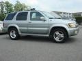 Titanium Metallic - QX4 4x4 Photo No. 2