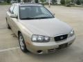 2003 Champagne Beige Hyundai Elantra GLS Sedan  photo #1