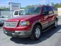 2004 Redfire Metallic Ford Expedition XLT  photo #8