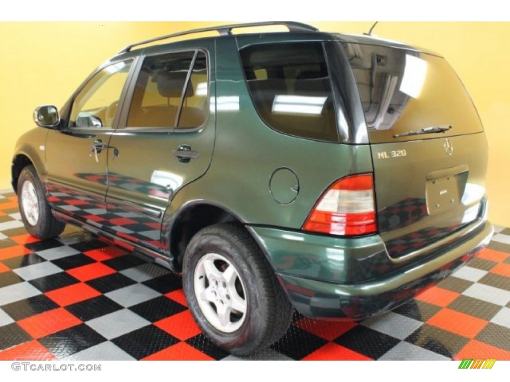 2001 ML 320 4Matic - Cypress Green Metallic / Java photo #3
