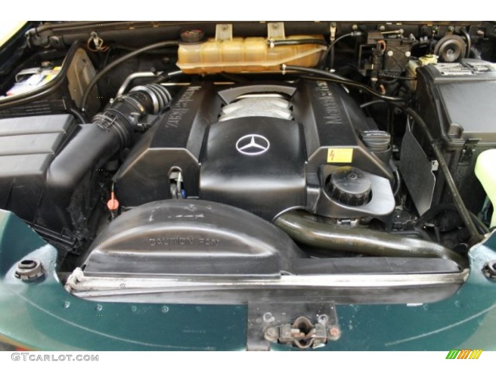 2001 ML 320 4Matic - Cypress Green Metallic / Java photo #16