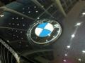 2011 BMW 1 Series M Coupe Badge and Logo Photo