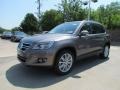 2011 Alpine Gray Metallic Volkswagen Tiguan SEL  photo #1