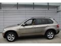 Platinum Bronze Metallic - X5 3.0si Photo No. 3