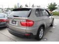 Platinum Bronze Metallic - X5 3.0si Photo No. 6